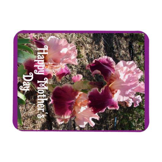 Kameroen Bloemen Bloemen Iris Irises Moederdag Kaa Magneet (Horizontaal)