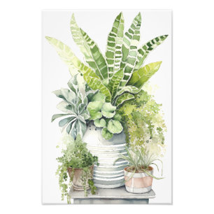 Kamerplanten Foto Afdruk