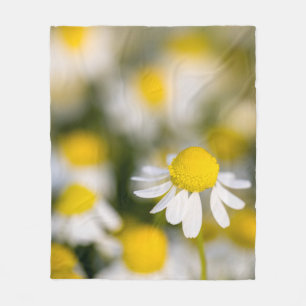 Kamillebloem close-up, Hongarije Fleece Deken