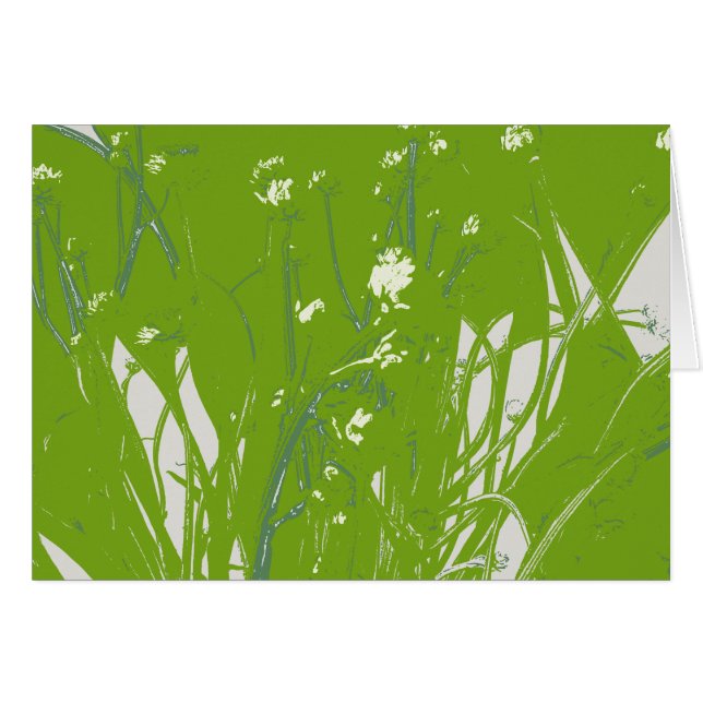 kamilleveld groen (Voorkant Horizontaal)