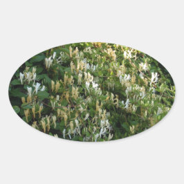 Kamperfoelie Aan Een Muur Ovale Sticker