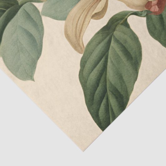 kamperfoelie en kolibrie Decoupage Tissuepapier (Detail)