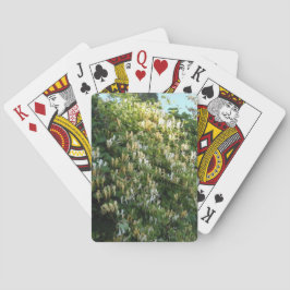 Kamperfoelie tegen een muur pokerkaarten