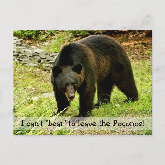 Kan geen "Beer" om Poconos Briefkaart te laten (Voorkant)