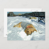 KAN IK HIER BLIJVEN? BRIEFKAART (Voorkant / Achterkant)