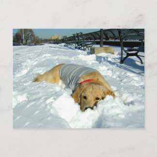 KAN IK HIER BLIJVEN? BRIEFKAART