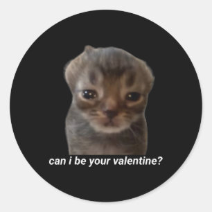 Kan ik je Valentijn zijn Funny Cat Meme Brainrot G Ronde Sticker