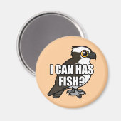 Kan ik vis hebben? magneet (Voorkant / Achterkant)