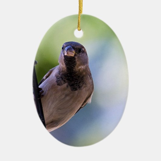 Kan je besparen keramisch ornament (Voorkant)