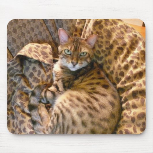 Kan je me zien? muismat (Voorkant)