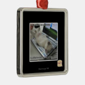 Kan niet reageren metalen ornament (Rechts)