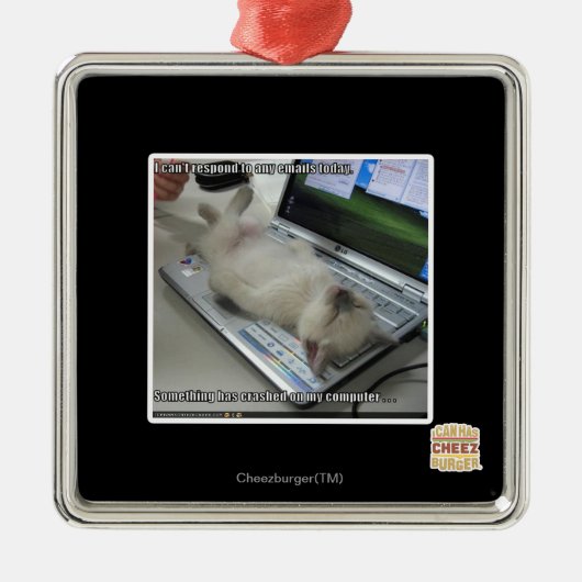 Kan niet reageren metalen ornament (Voorkant)