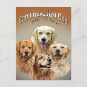 Kan niet slechts één Golden Retriever Briefkaart h