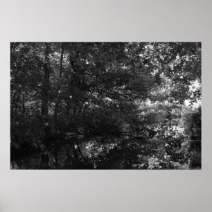 Kanaal, Bute Park, Cardiff Poster