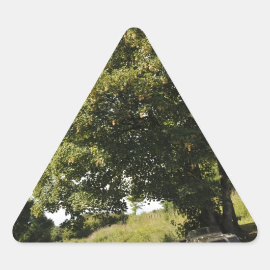 Kanaalboten Driehoek Sticker (Voorkant)