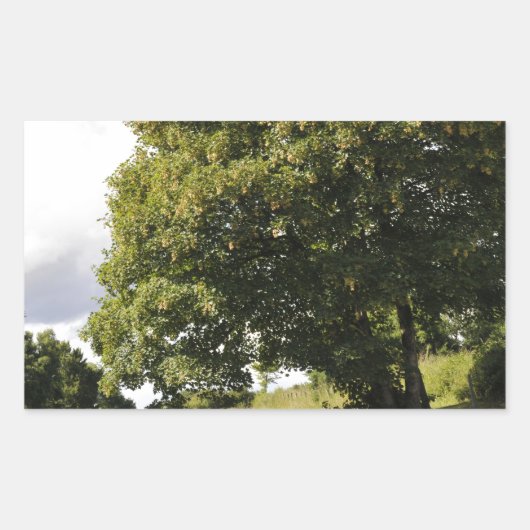 Kanaalboten Rechthoekige Sticker (Voorkant)