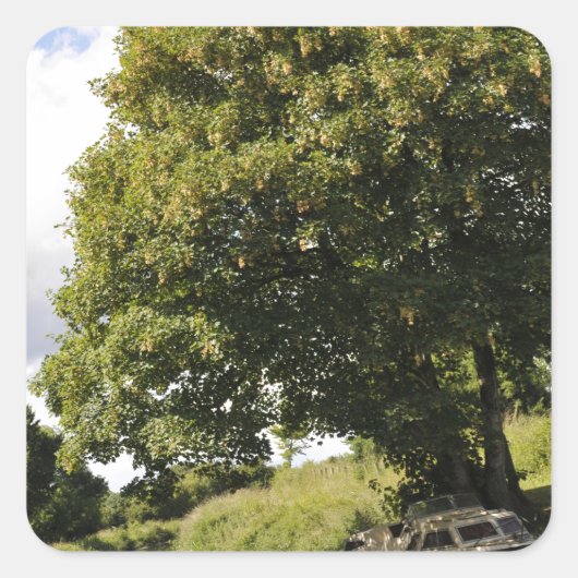 Kanaalboten Vierkante Sticker (Voorkant)