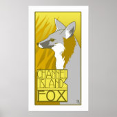 Kanaaleiland Fox Poster (Voorkant)
