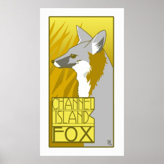 Kanaaleiland Fox Poster