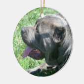 Kanaalhondenornament Keramisch Ornament (Links)