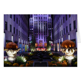 Kanaaltuinen Rockefeller Center New York City