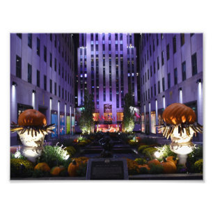 Kanaaltuinen Vijfde Avenue New York City NYC Foto Afdruk
