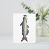 Kanaalvis (juveniel) briefkaart (Staand voorkant)