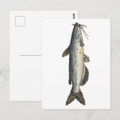 Kanaalvis (juveniel) briefkaart (Voorkant / Achterkant)