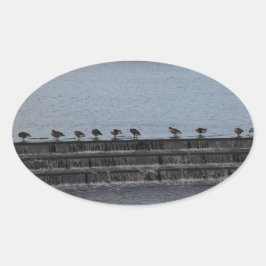 Kanadese Ganzen Allemaal Op Een Rij Ovale Sticker