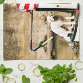 KANALEN THEEDOEK (Gevouwen)