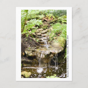 Kanapaha Gardens - Gainesville 002 Briefkaart