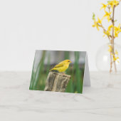 Kanarie Kaart (Gele Bloem)