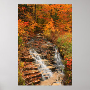 Kancamagus Highway Cascade in het najaar Poster