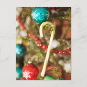 Kandriet op boomkaarten en stickers briefkaart