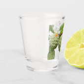 Kaneelappel - Glas naar shot (Links)