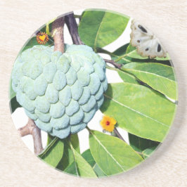 Kaneelappel - Glas naar shot Zandsteen Onderzetter