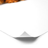 kaneelstokjes foto afdruk (Hoek)