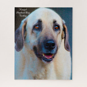 Kangal Hond. Legpuzzel