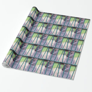 Kangaroo achter tralies cadeaupapier