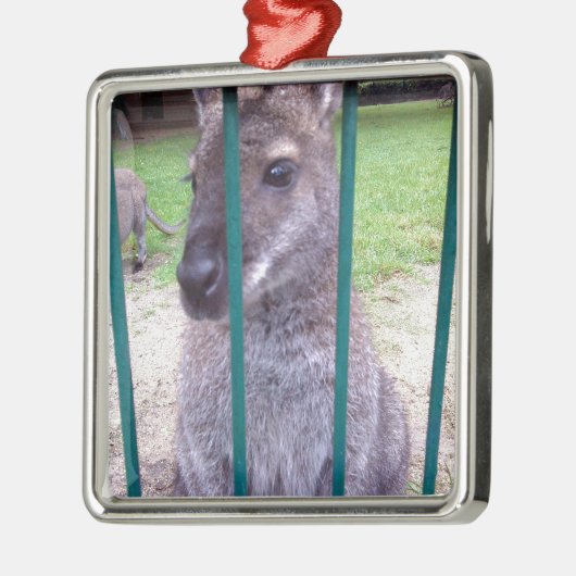 Kangaroo achter tralies metalen ornament (Links)