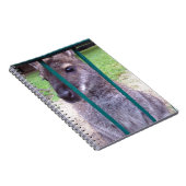 Kangaroo achter tralies notitieboek (Rechterzijde)