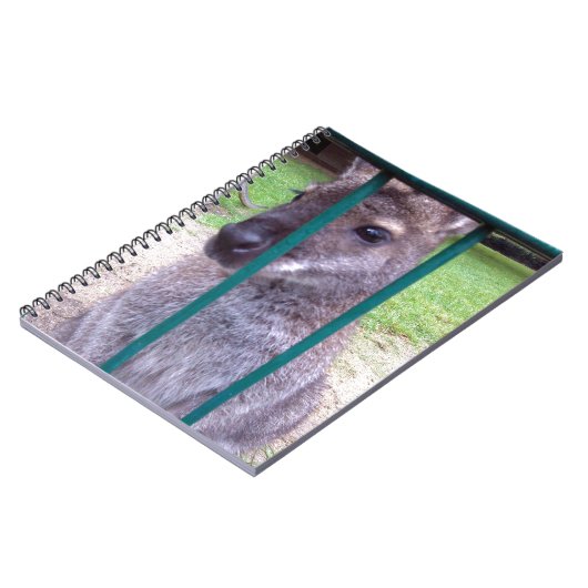 Kangaroo achter tralies notitieboek (Linkerzijde)