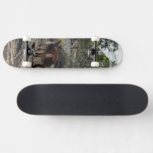 Kangaroo Au Billabong, Skateboard Complet (Horz)