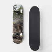 Kangaroo Au Billabong, Skateboard Complet (Recto)