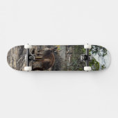 Kangaroo Au Billabong, Skateboard Complet (Horz)