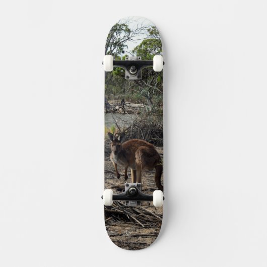 Kangaroo Au Billabong, Skateboard Complet (Recto)