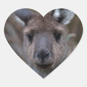 Kangaroo Australië Hart Sticker