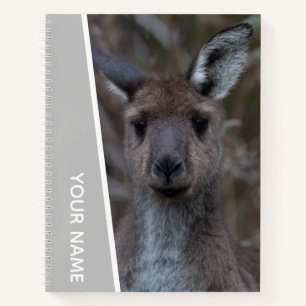 Kangaroo Baby Joey Portrait Australia, Silver Notitieboek