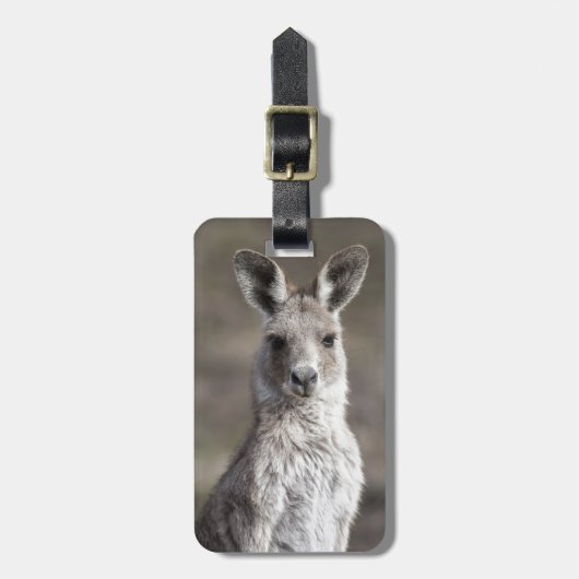 Kangaroo Bagagelabel (Voorkant verticaal)