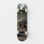 Kangaroo bij de Billabong, compleet skateboard (Voorkant)